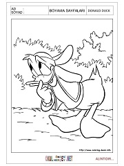 Donald Duck boyama sayfaları